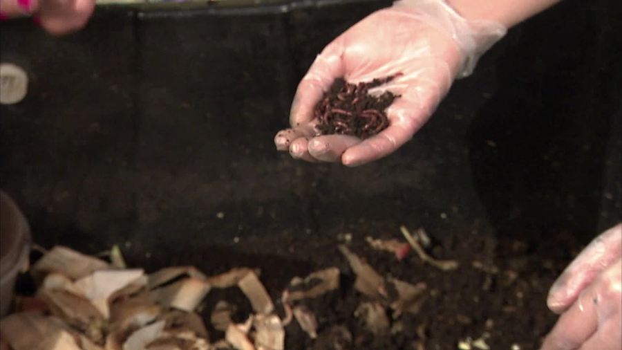 Why are worms good for the soil?