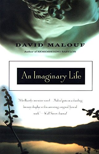 An imaginary life : a novel