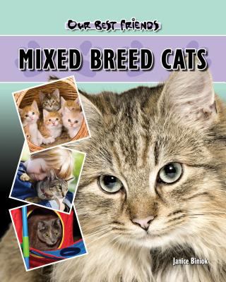 Mixed breed cats