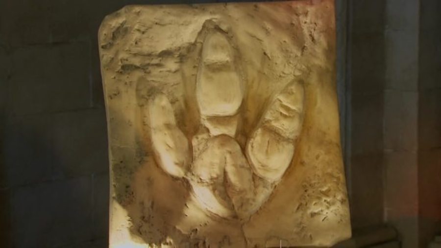 Iguanodon Footprint