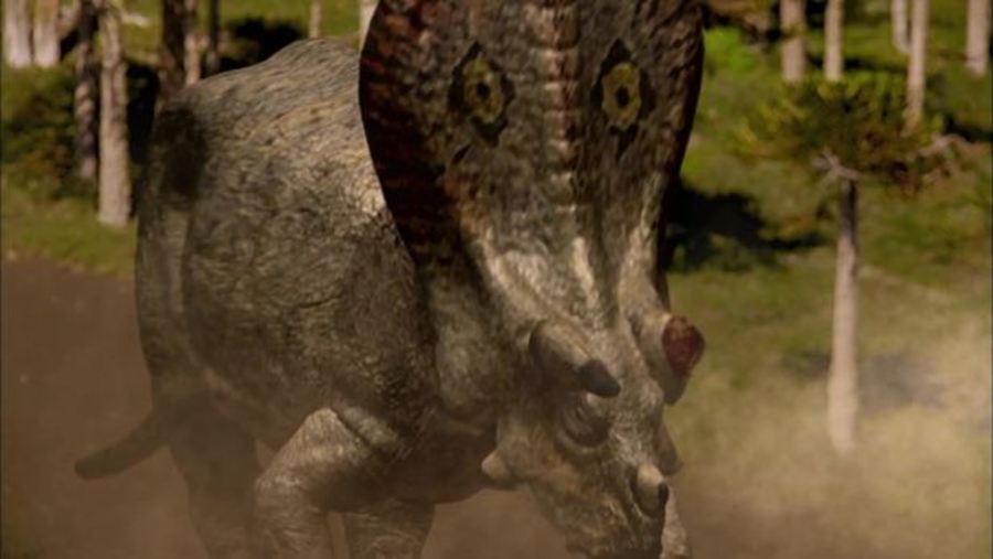 Triceratops and Horn
