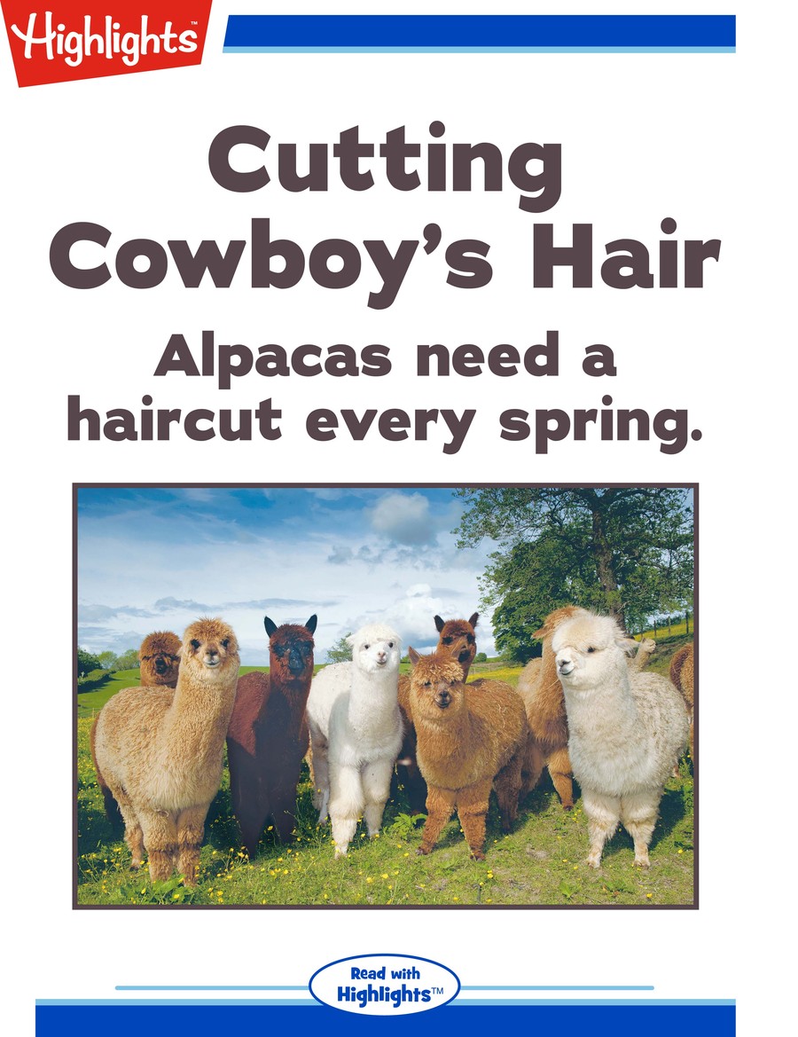Cutting Cowboy's Hair : Highlights