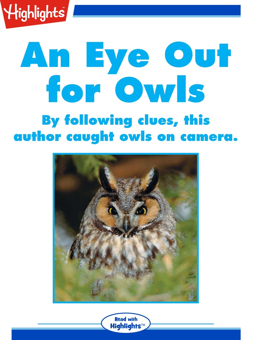 An Eye Out for Owls : Highlights