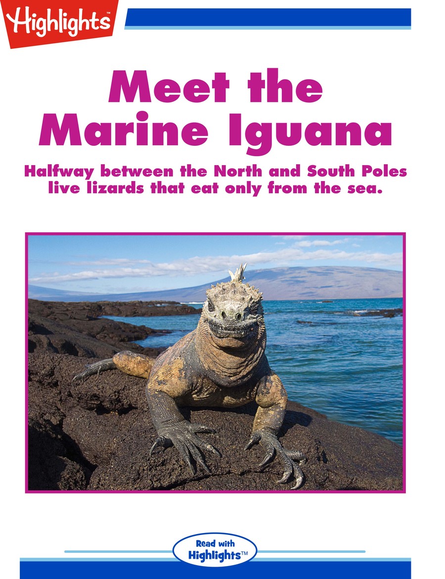 Meet the Marine Iguana : Highlights