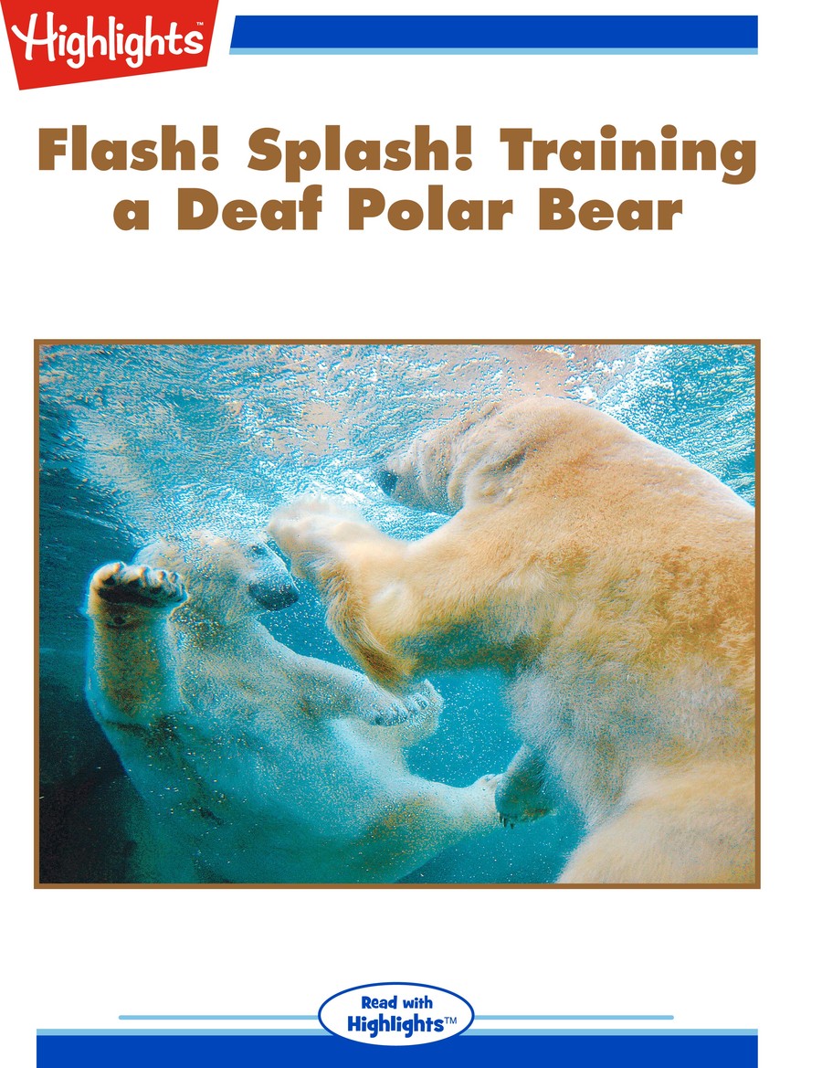 Flash! Splash! Training a Deaf Polar Bear : Highlights