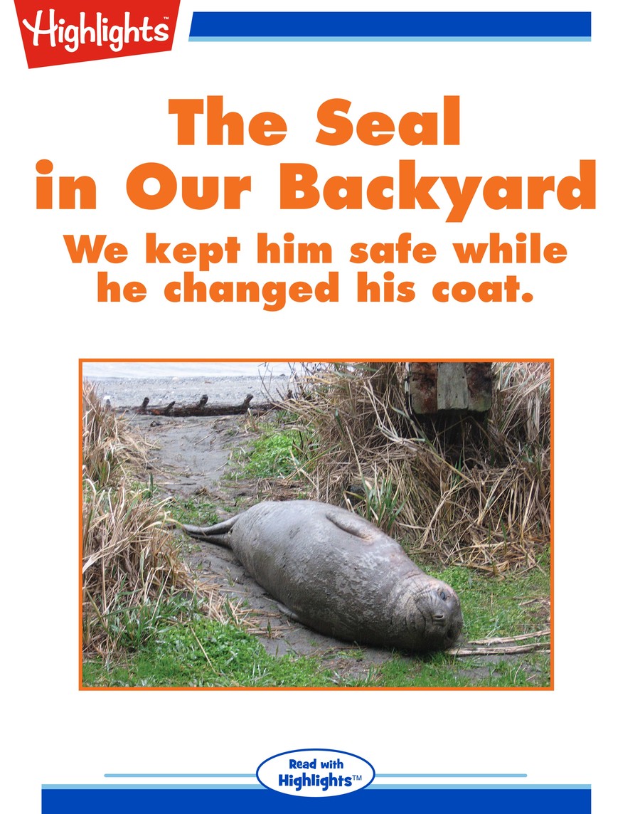 The Seal in Our Backyard : Highlights