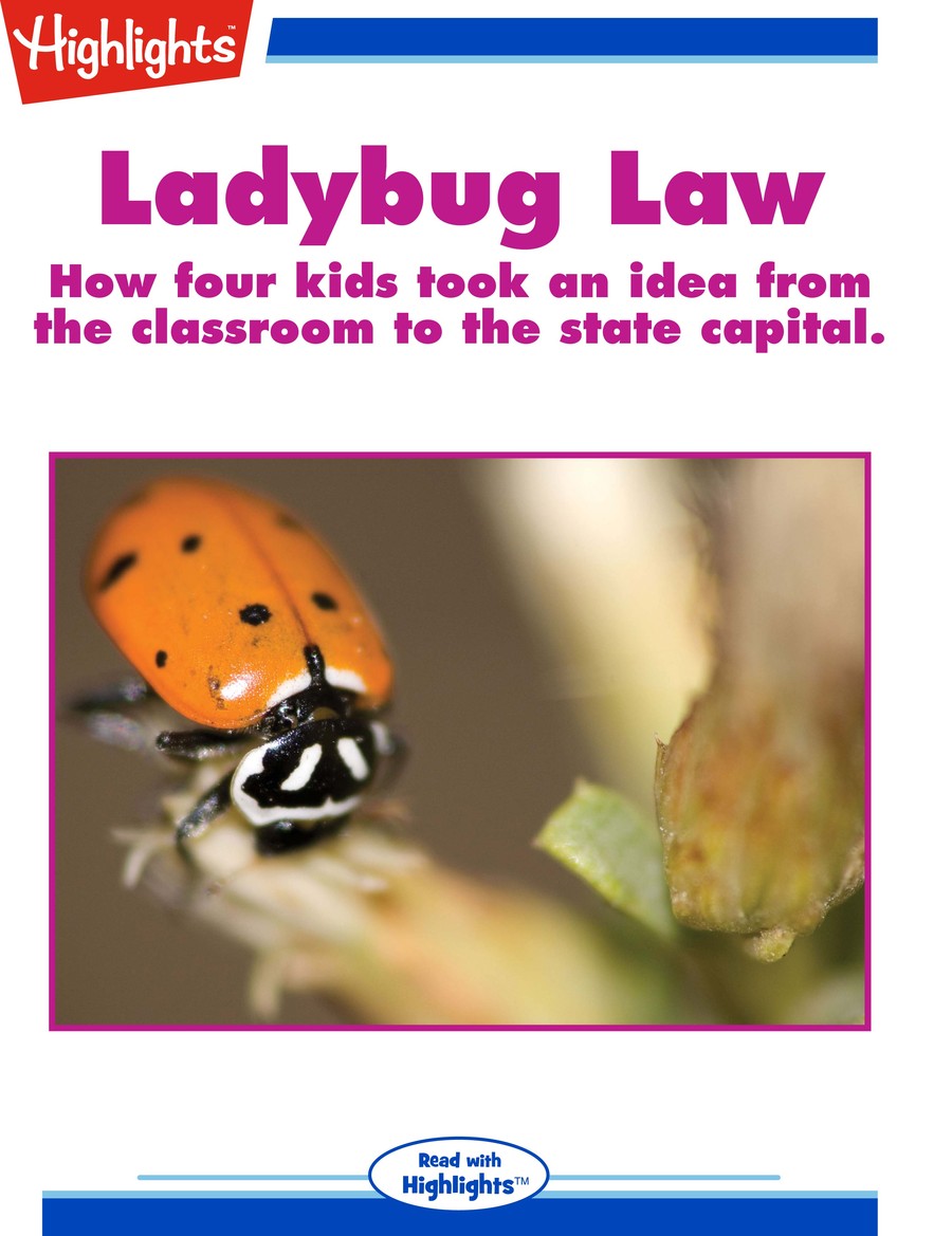 Ladybug Law : Highlights