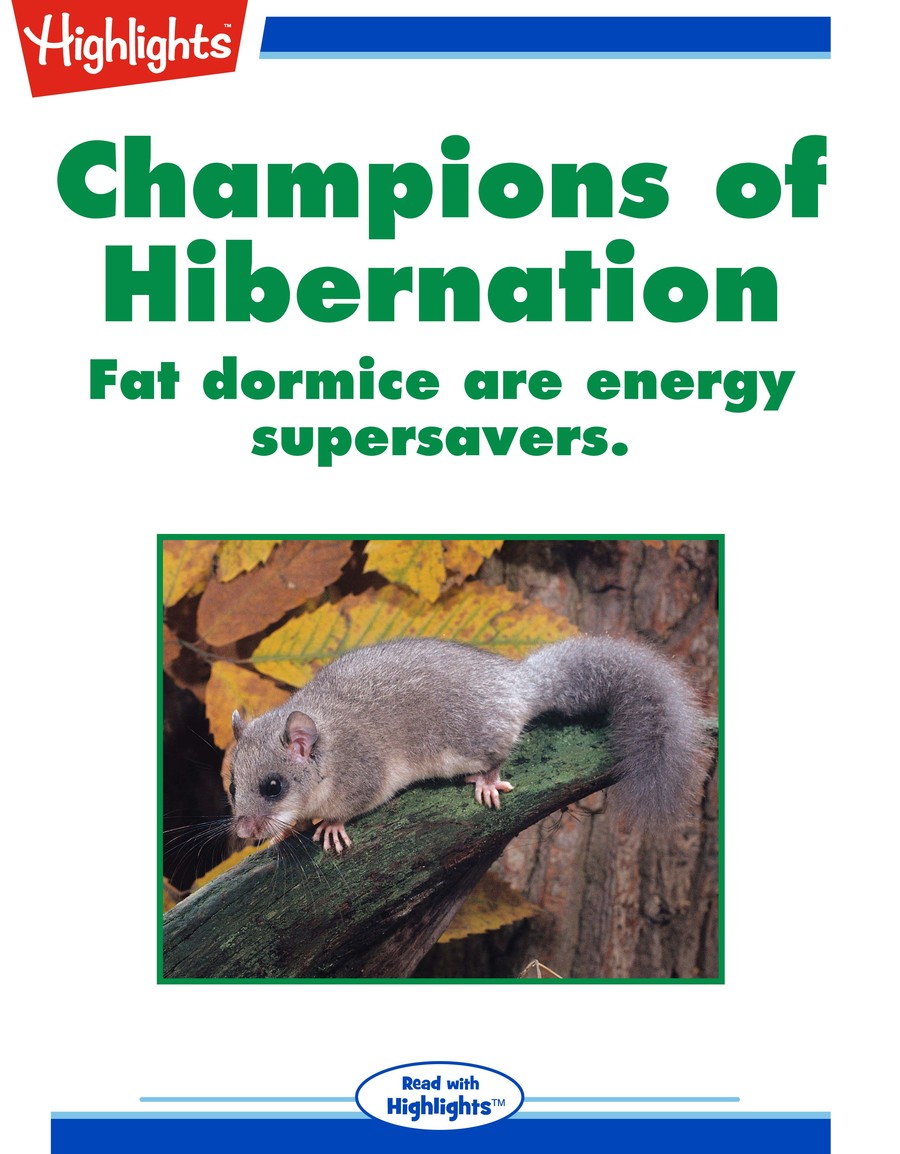 Champions of Hibernation : Highlights