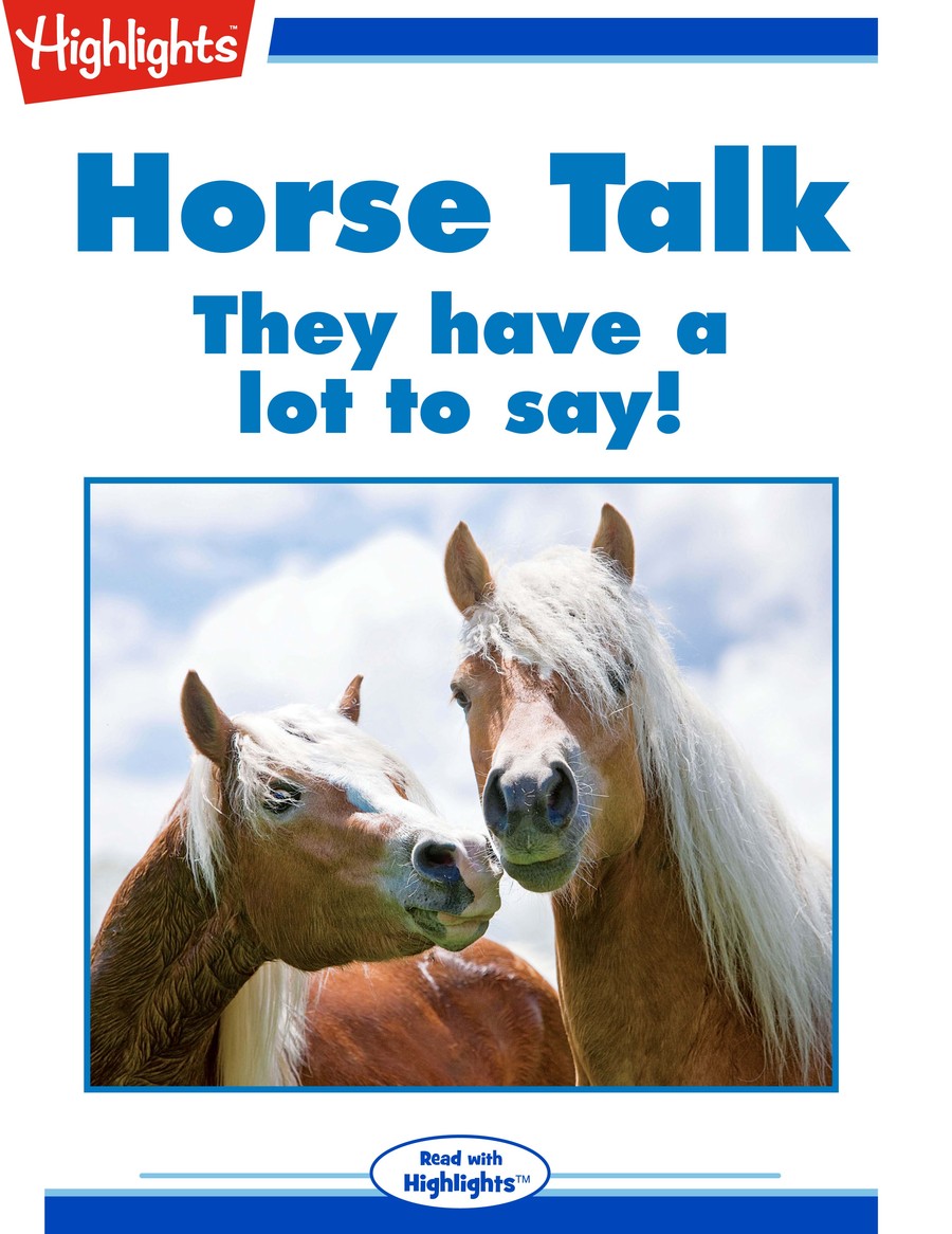 Horse Talk : Highlights