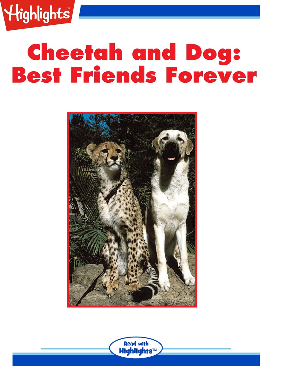 Cheetah and Dog : Best Friends Forever : Highlights