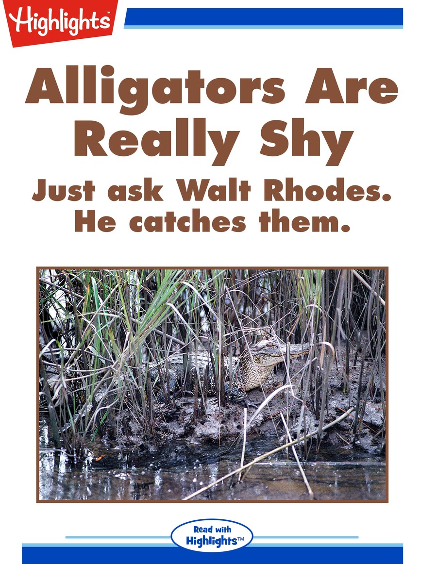 Alligators Are Really Shy : Highlights