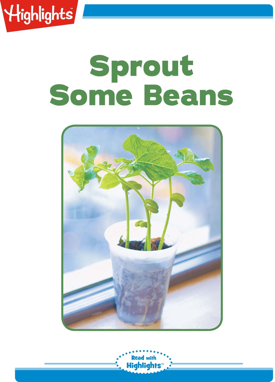 Sprout Some Beans : Highlights