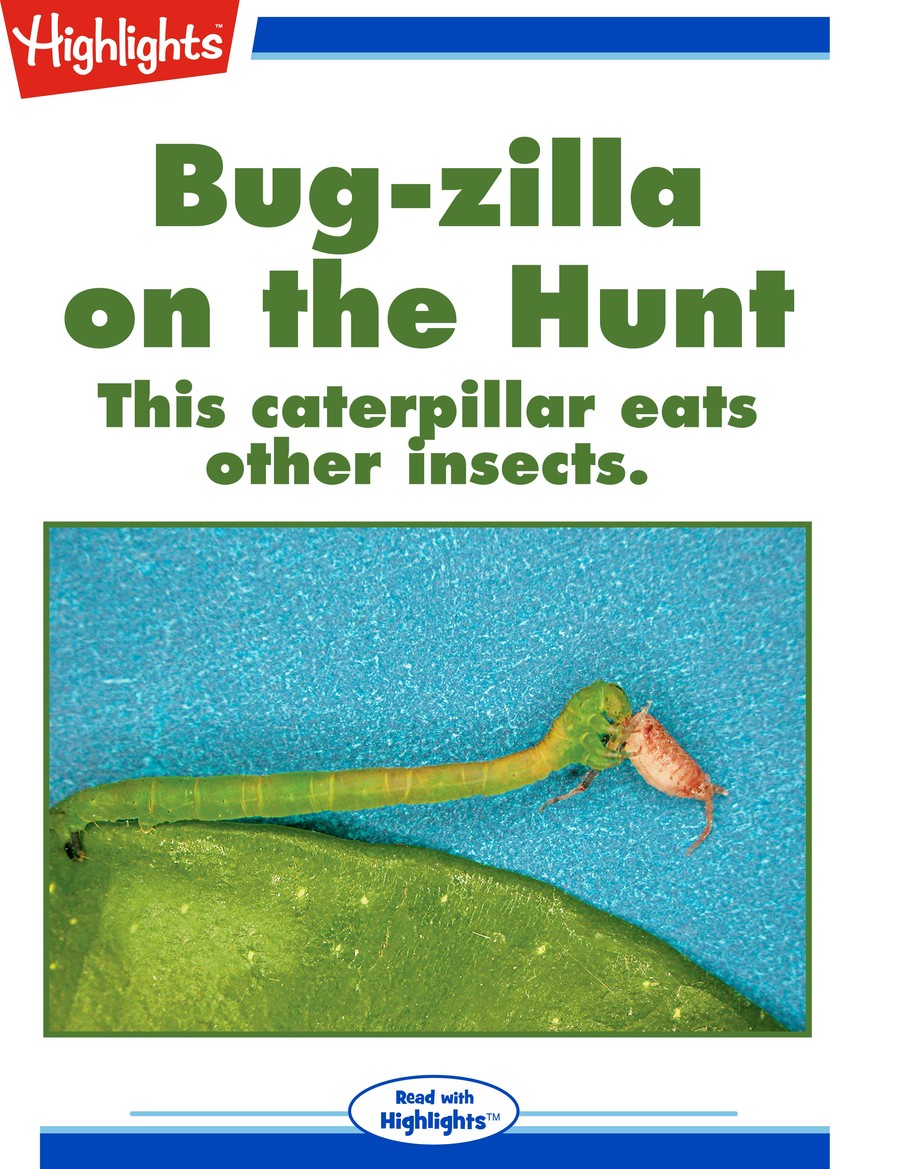 Bug-zilla on the Hunt : Highlights