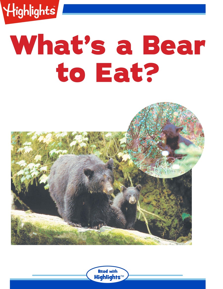 What's a Bear to Eat? : Highlights
