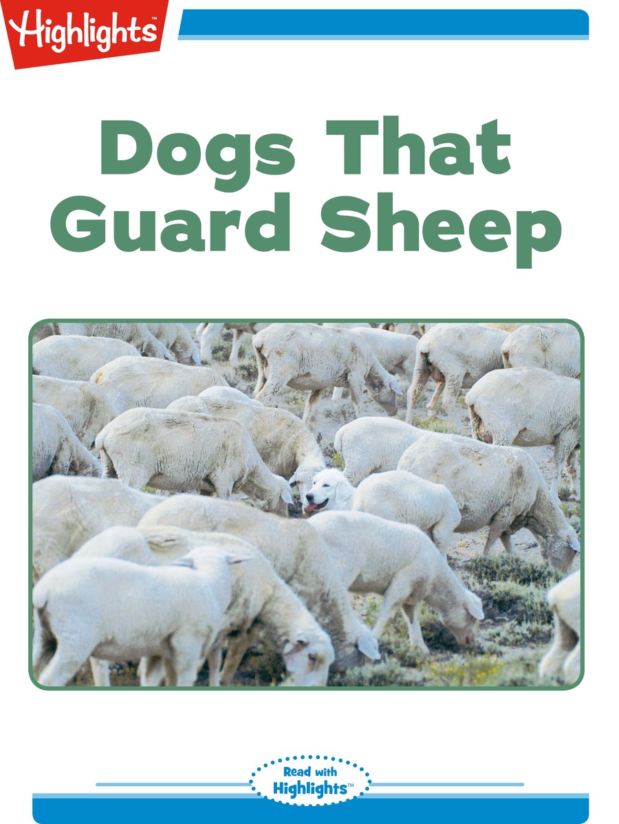 Dogs That Guard Sheep : Highlights