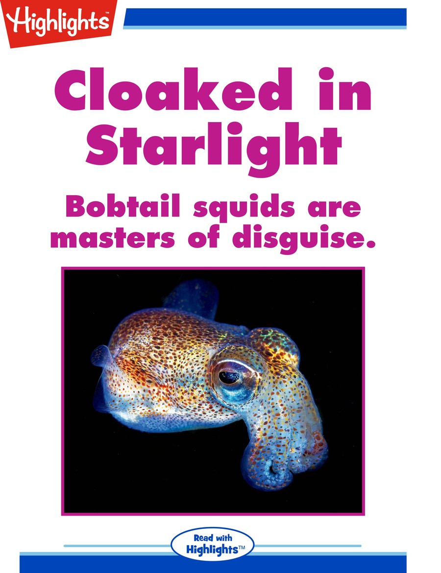 Cloaked in Starlight : Highlights