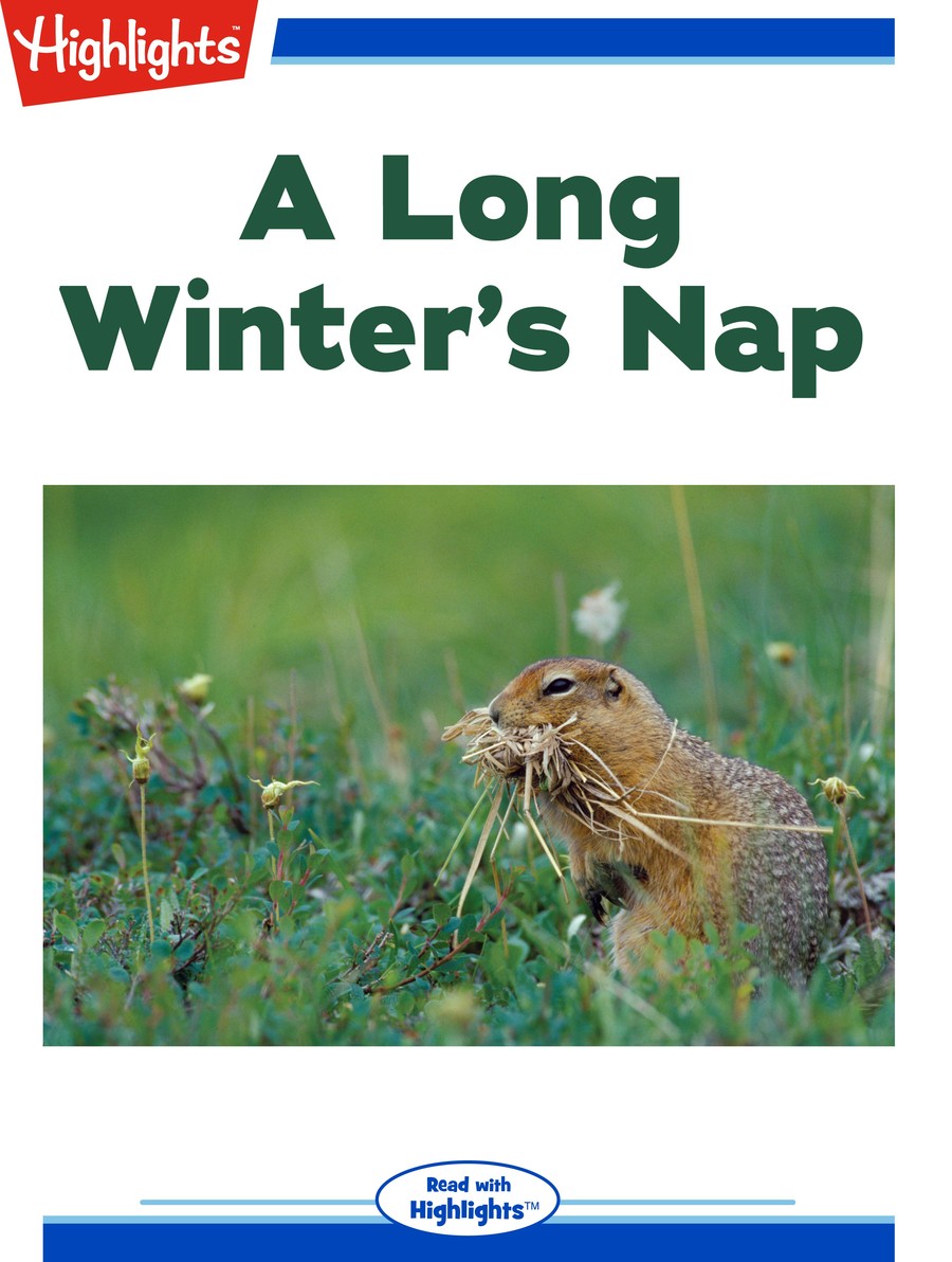 A Long Winter's Nap : Highlights
