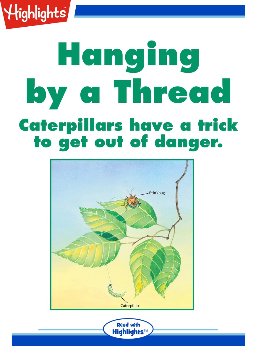 Hanging by a Thread : Highlights