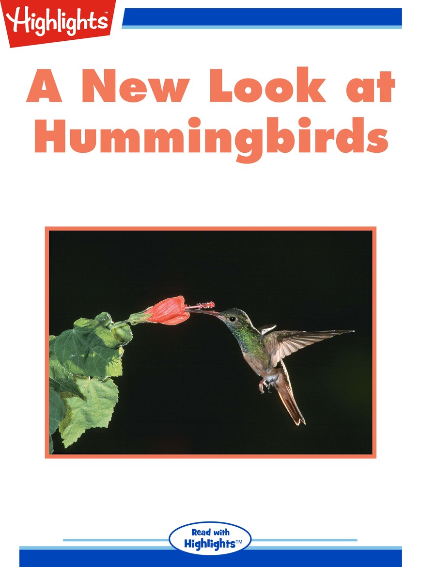 A New Look at Hummingbirds : Highlights
