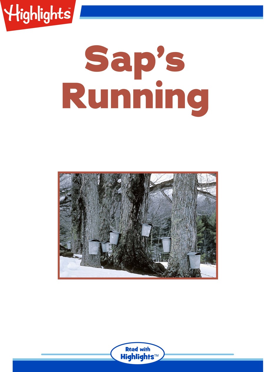 Sap's Running : Highlights