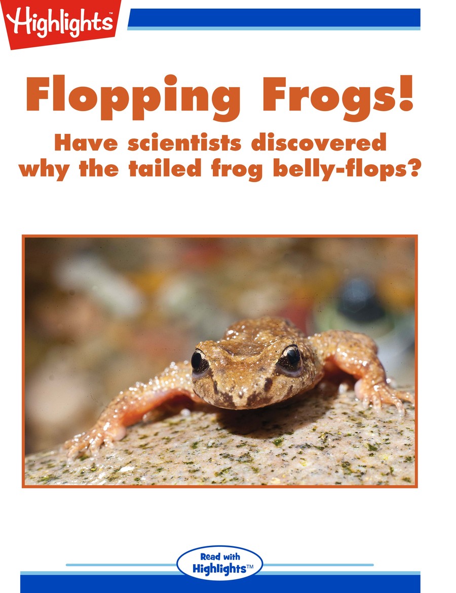 Flopping Frogs : Highlights