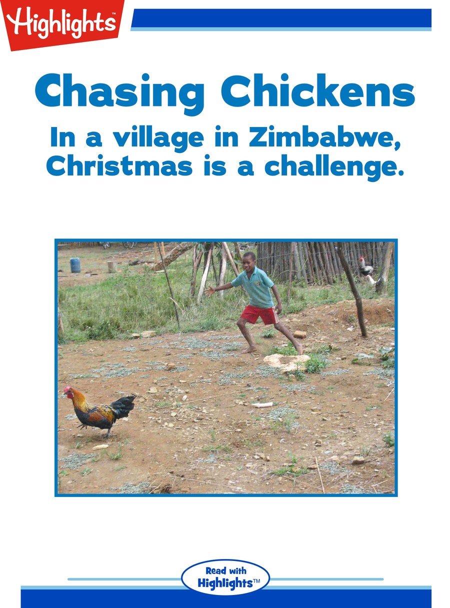 Chasing Chickens : Highlights