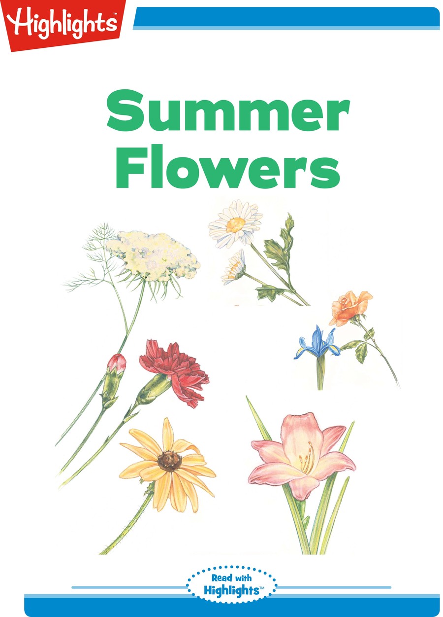 Summer Flowers : Highlights