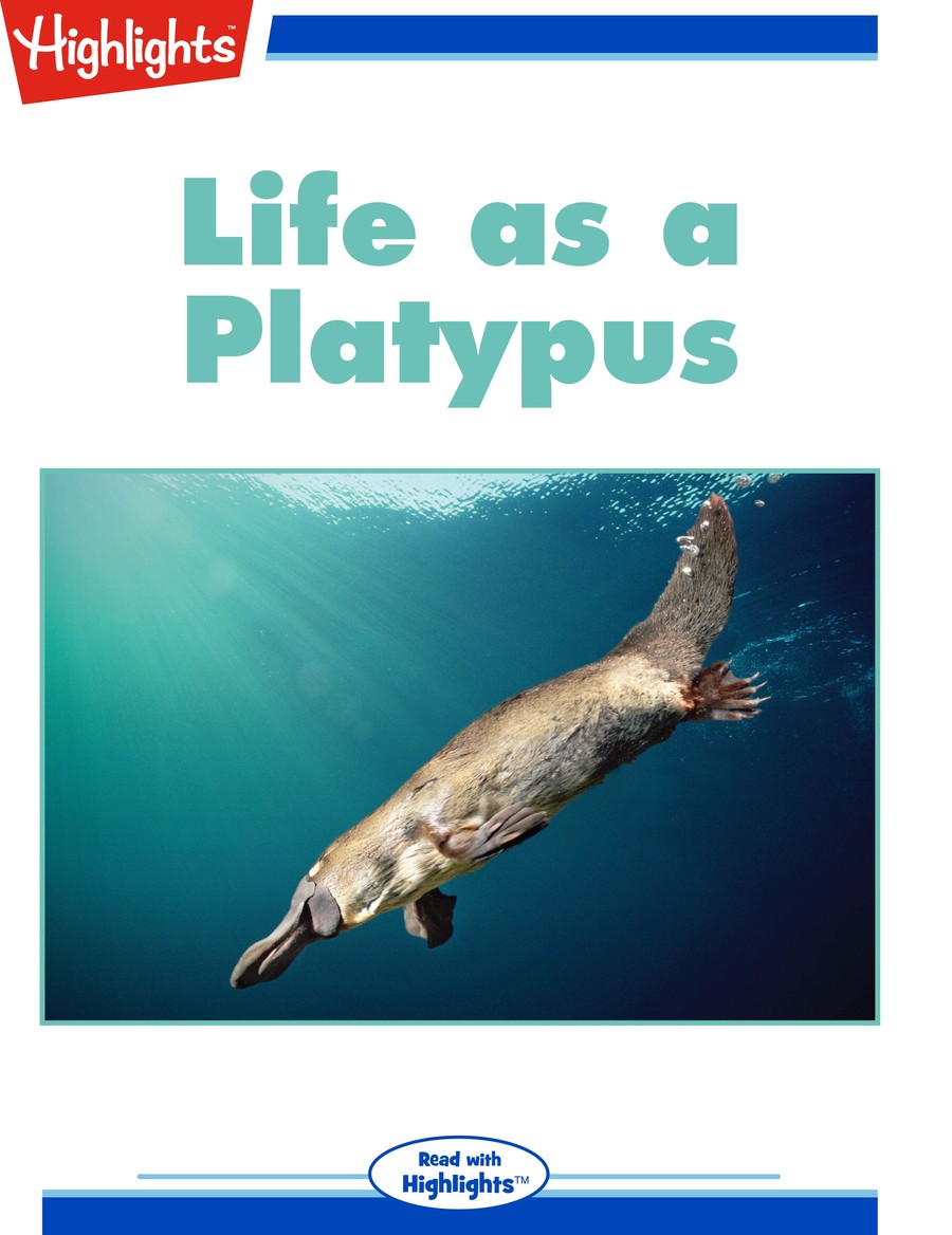Life as a Platypus : Highlights