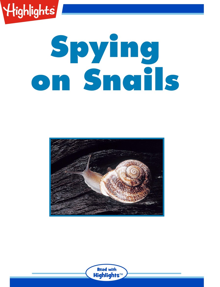 Spying on Snails : Highlights