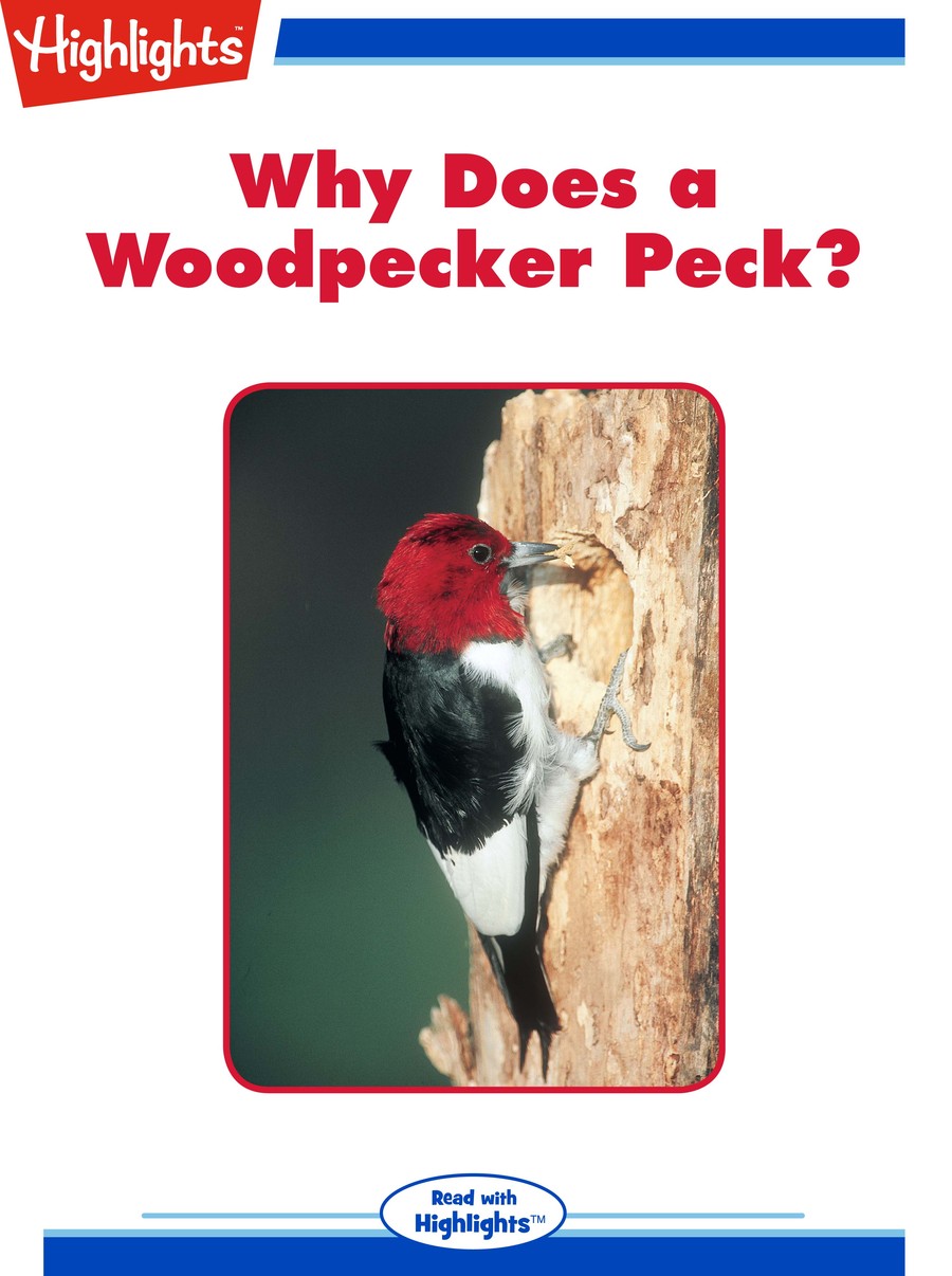 Why Does a Woodpecker Peck? : Highlights