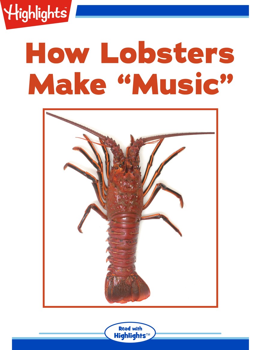 How Lobsters Make Music : Highlights