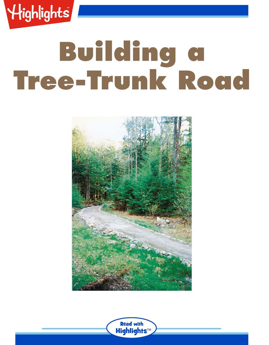 Building a Tree-Trunk Road : Highlights