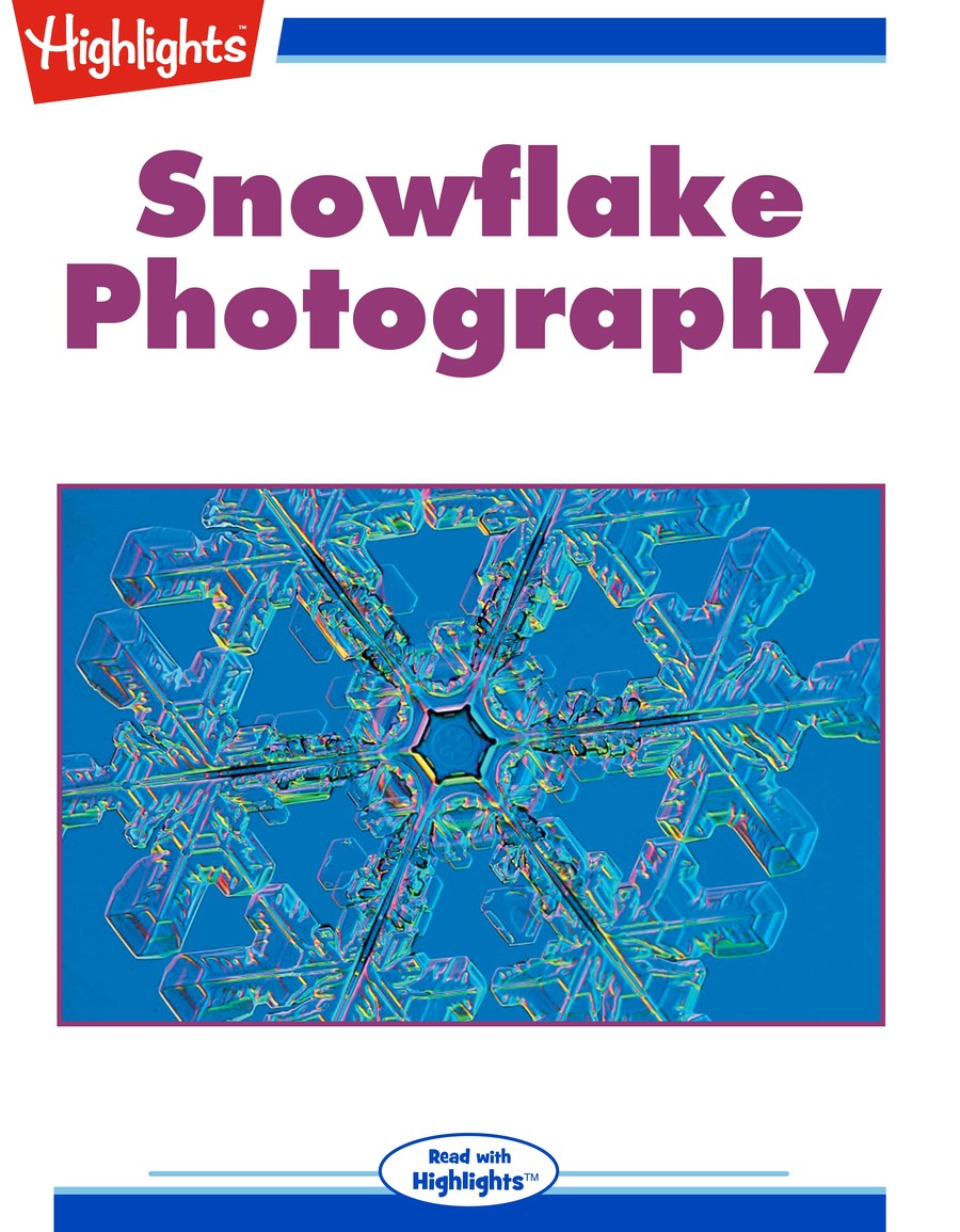 Snowflake Photography : Highlights