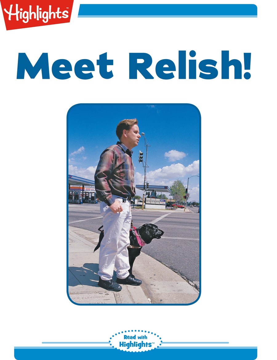 Meet Relish : Highlights