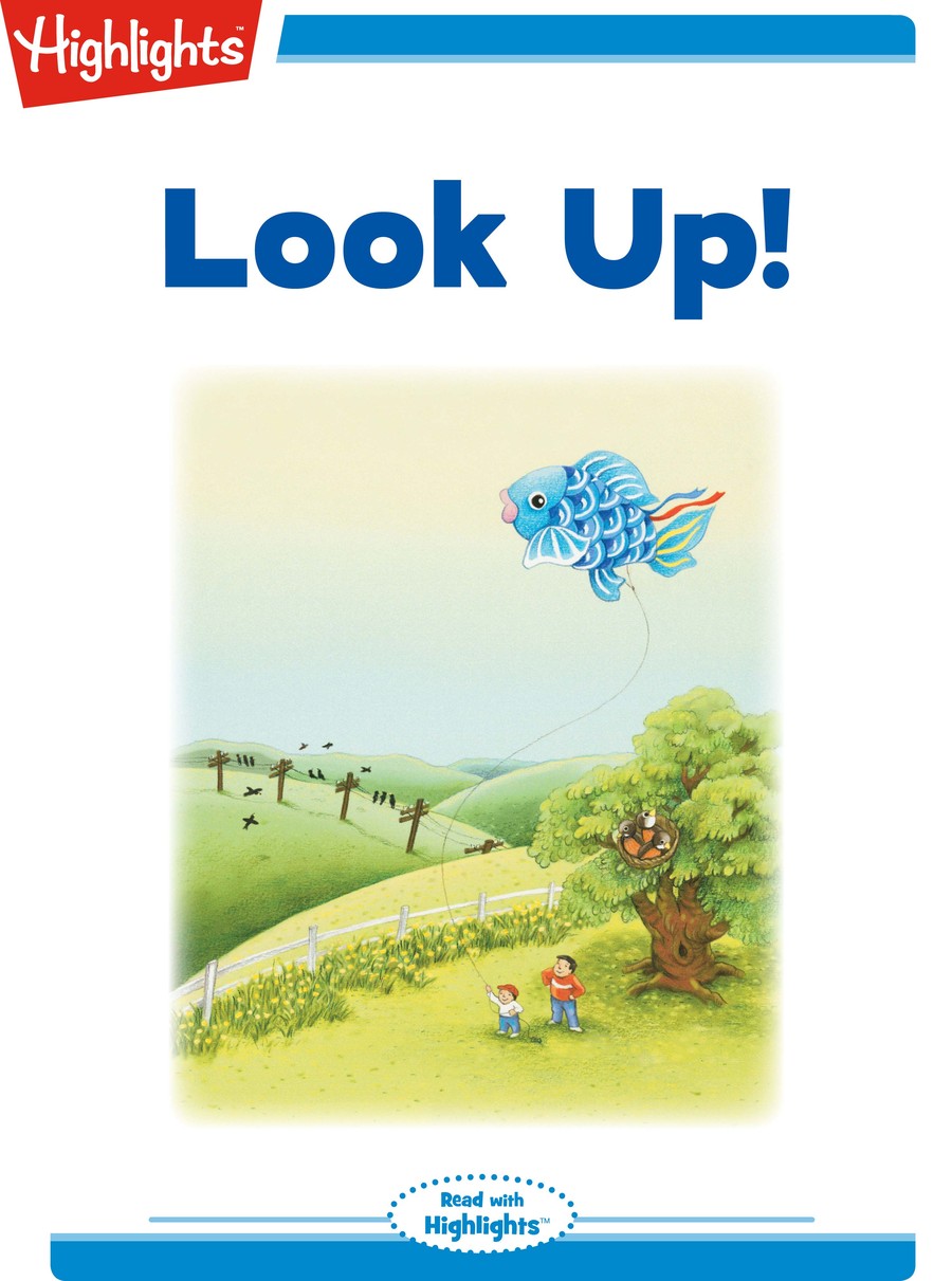 Look Up : Highlights