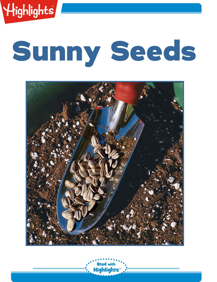 Sunny Seeds : Highlights