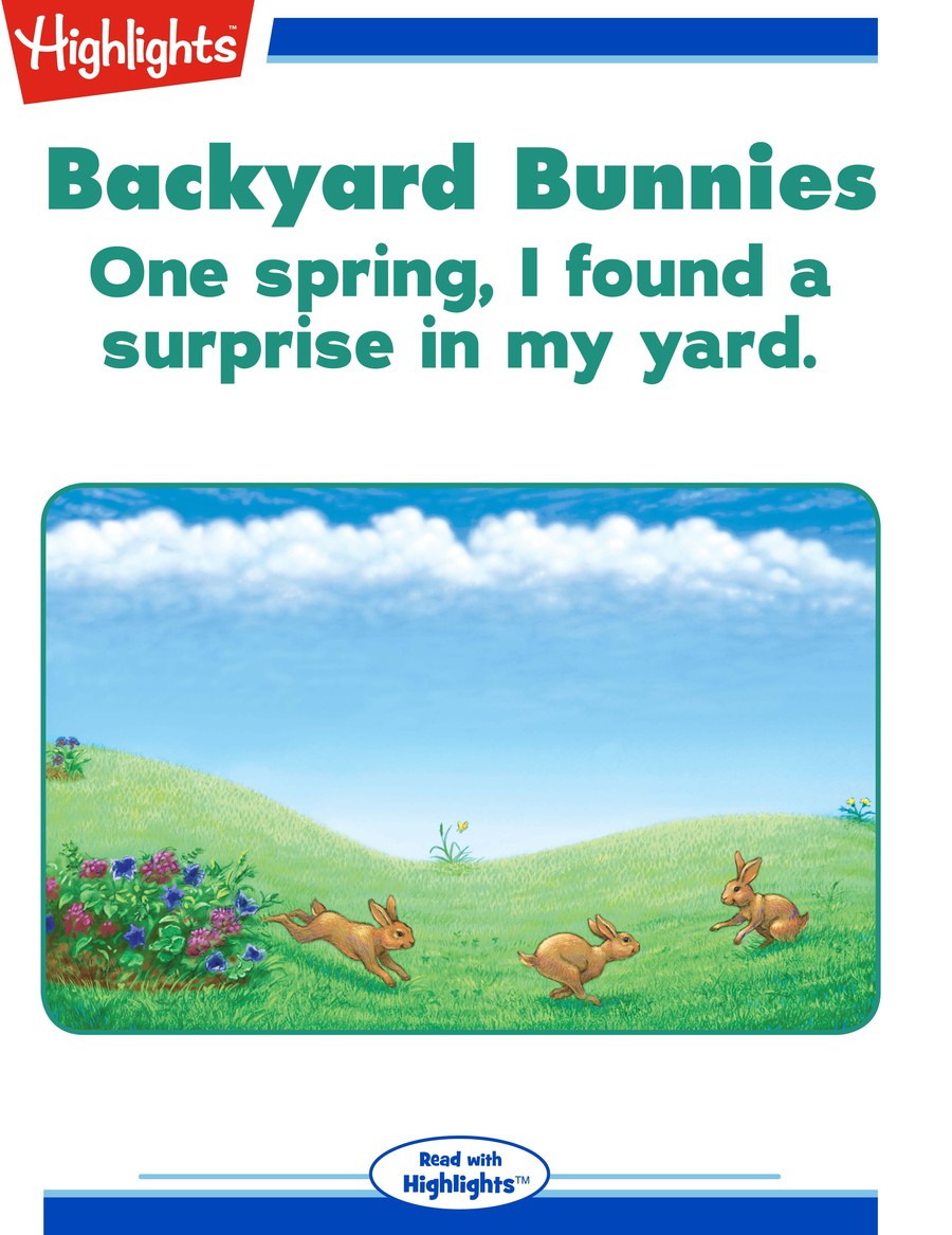 Backyard Bunnies : Highlights
