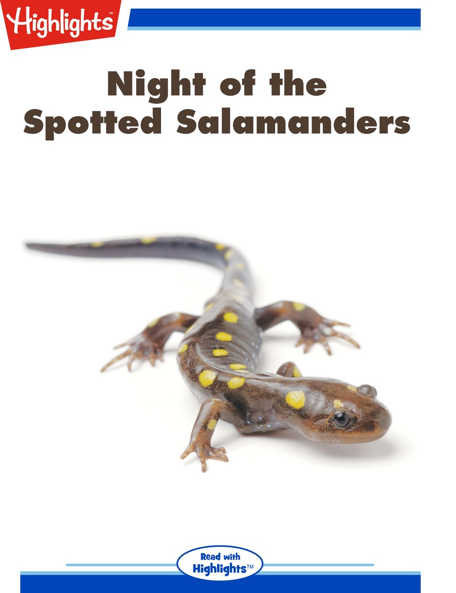 Night of the Spotted Salamanders : Highlights
