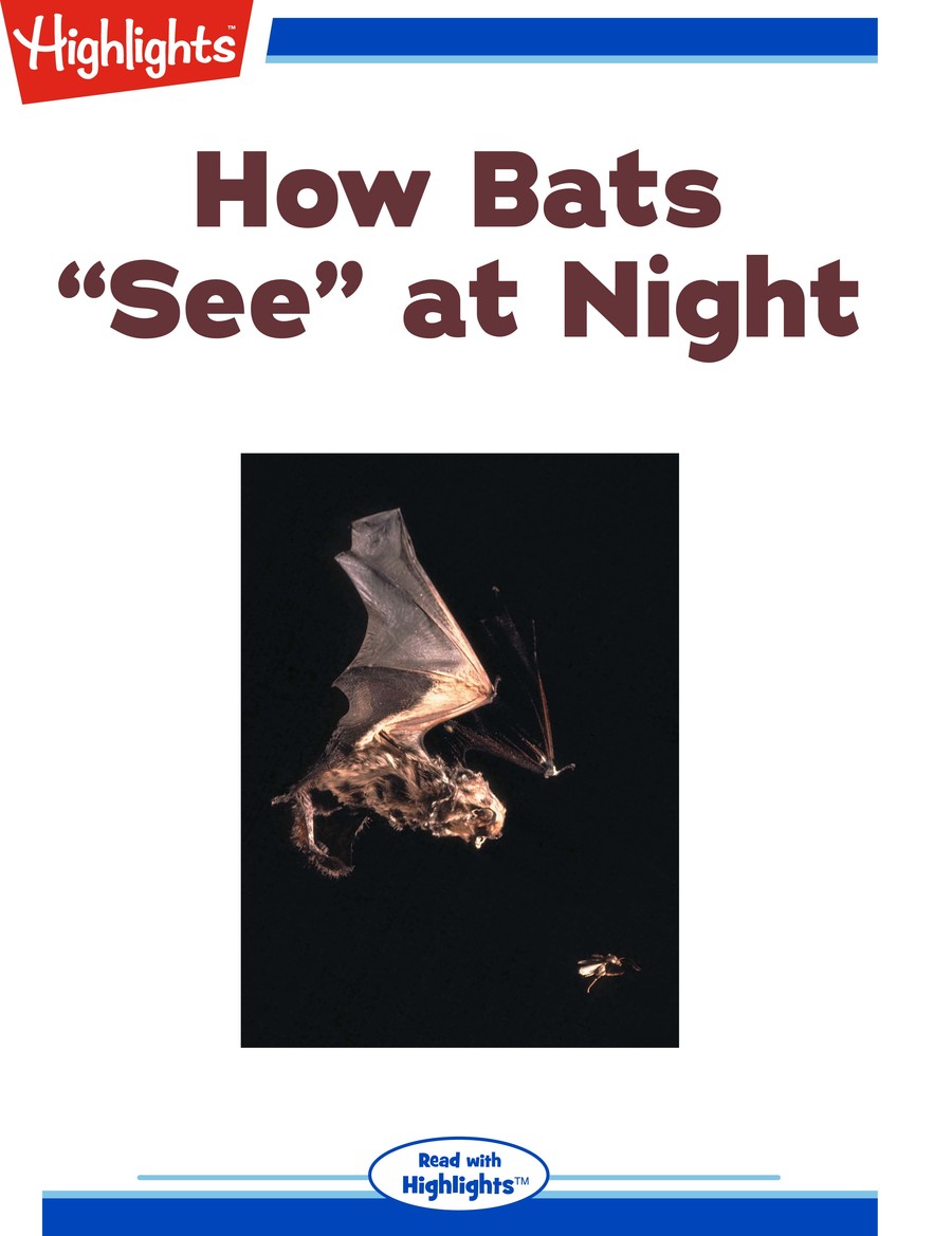 How bats "see" at night : Highlights