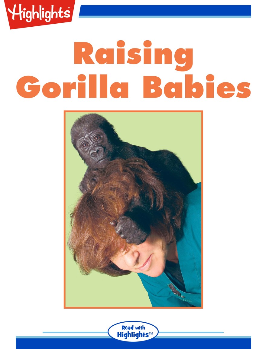 Raising Gorilla Babies : Highlights