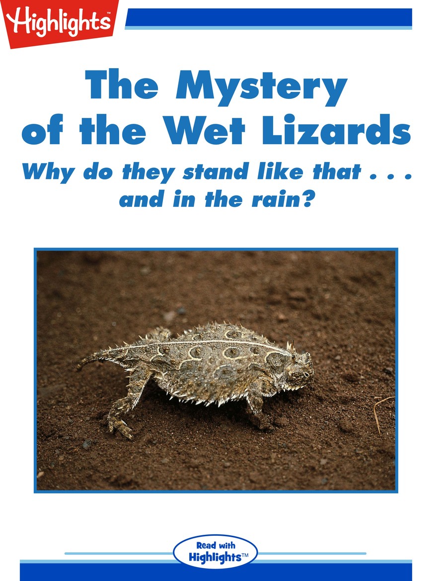 The Mystery of the Wet Lizards : Highlights