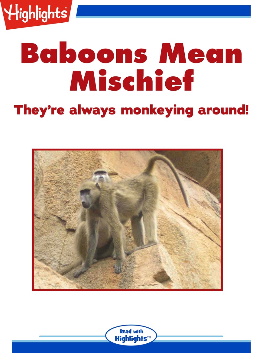 Baboons Mean Mischief : Highlights