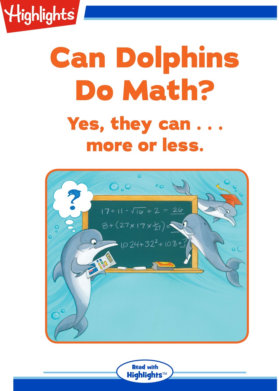 Can Dolphins Do Math? : Highlights