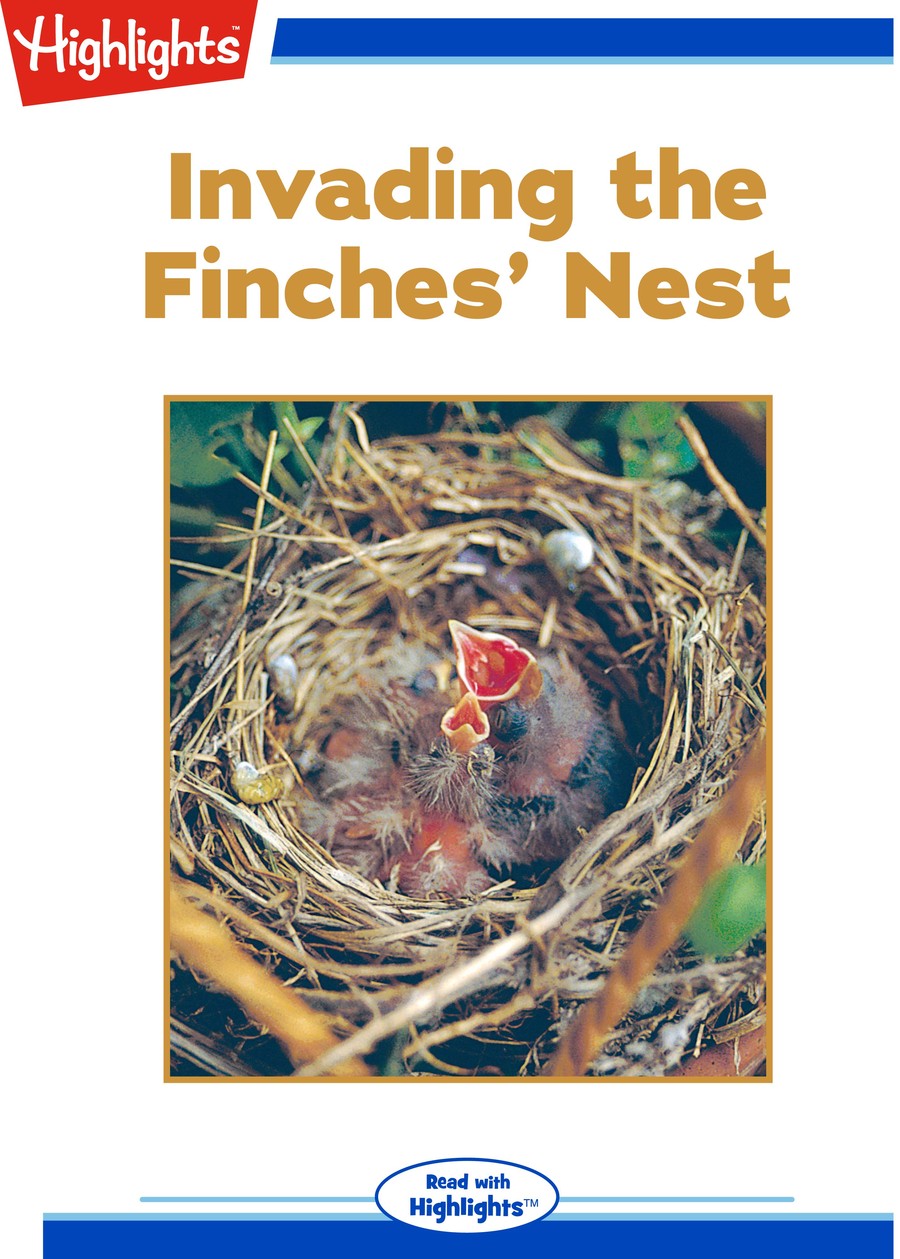 Invading the Finches' Nest : Highlights