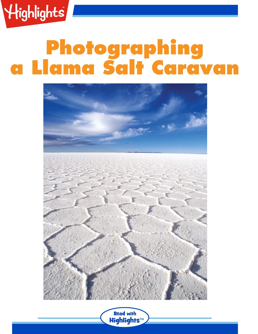 Photographing a Llama Salt Caravan : Highlights