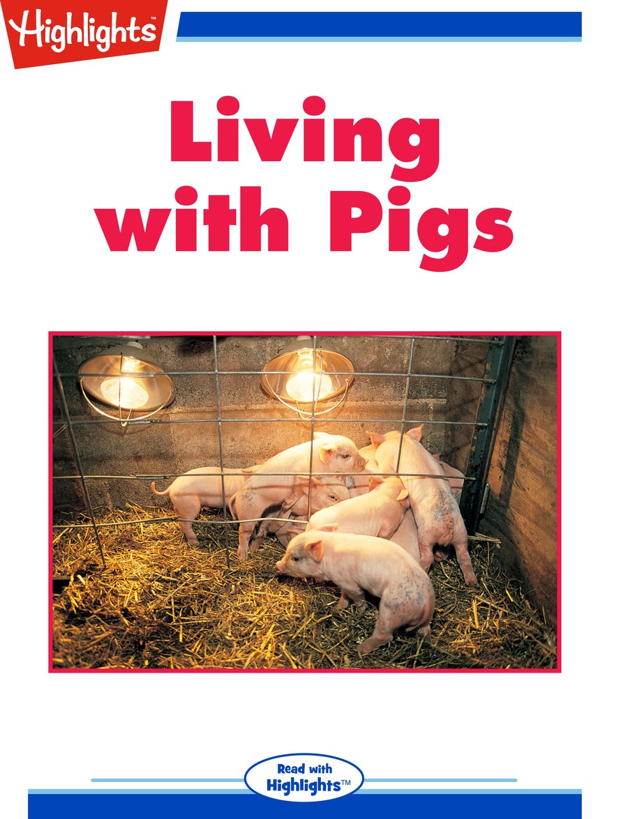Living with Pigs : Highlights