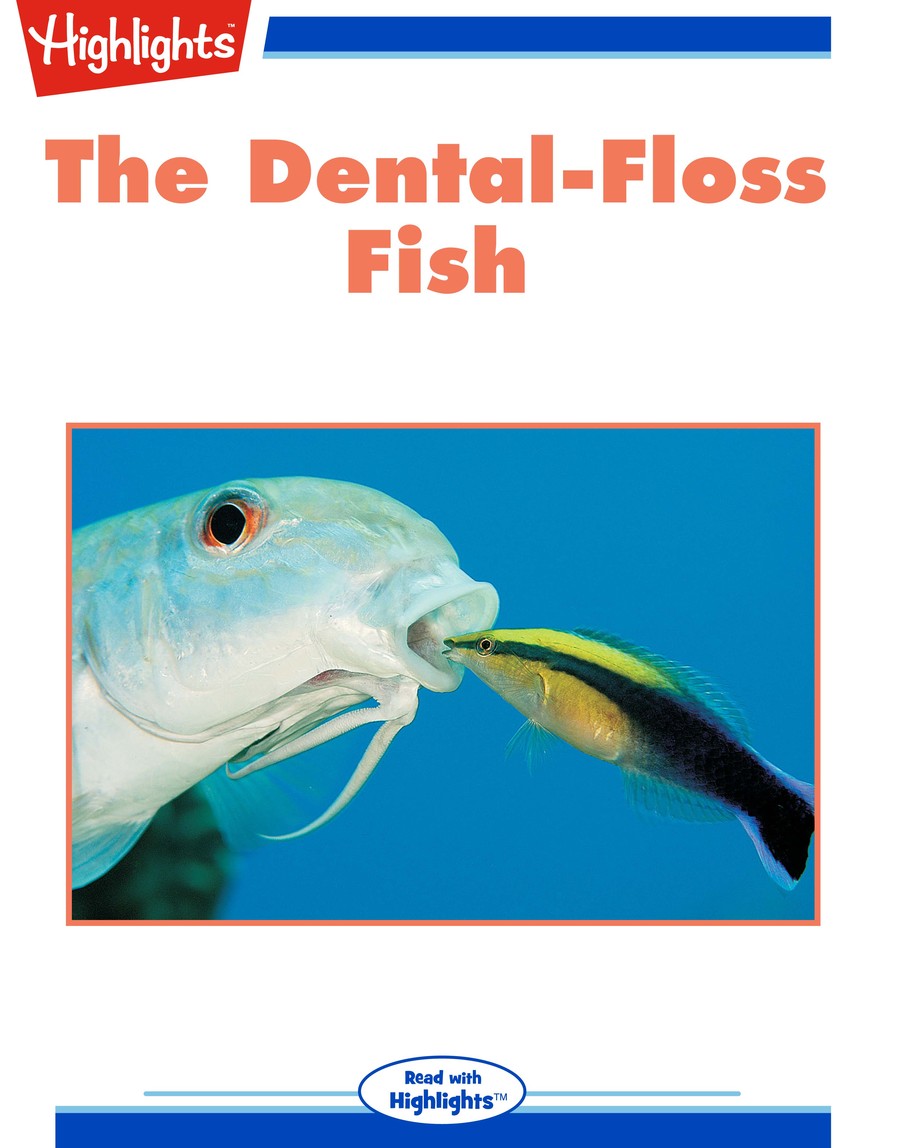 The Dental-Floss Fish : Highlights