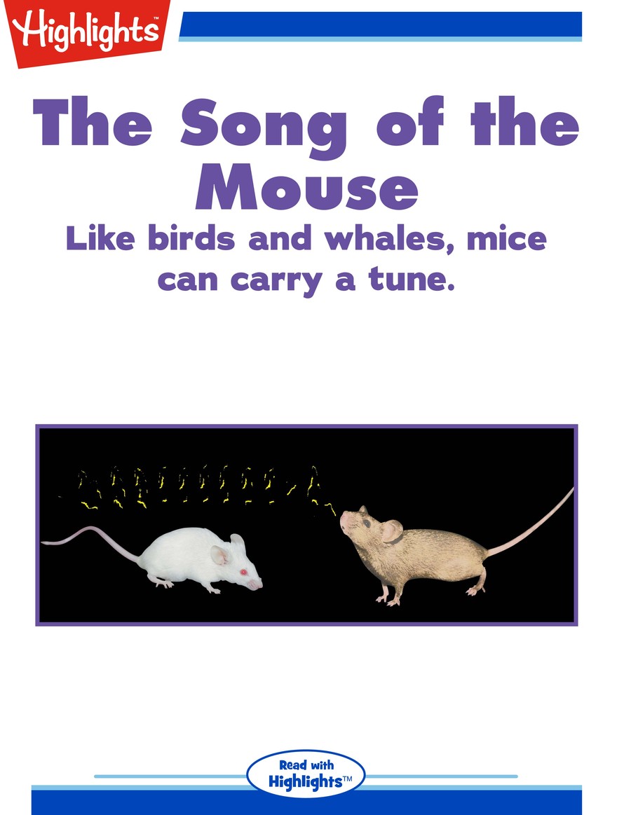 The Song of the Mouse : Highlights