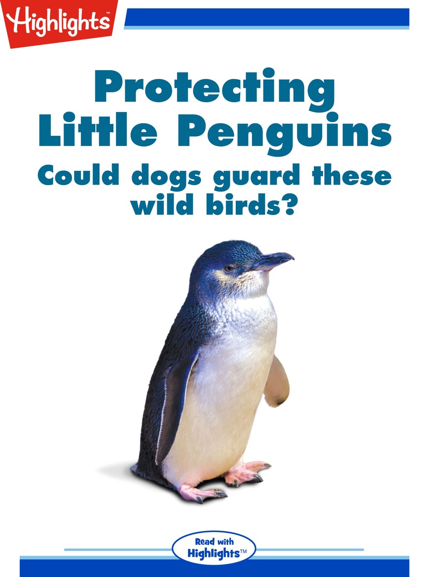 Protecting Little Penguins : Highlights