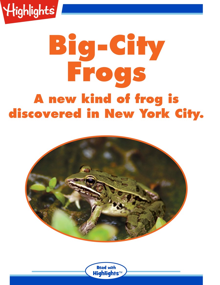 Big-City Frogs : Highlights